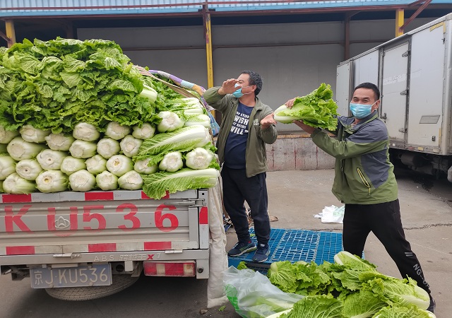 球友会（中国）官方网站加大“冬储菜”调运，全力做好保供稳价